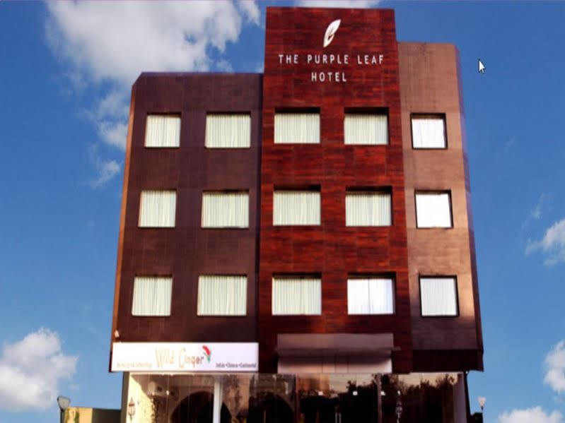 The Purple Leaf Hotels Haiderabad Buitenkant foto